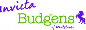 Logo for Invicta Budgens