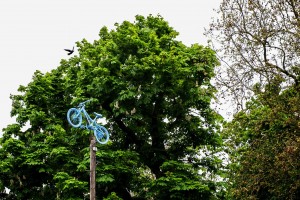 Blue painted bike 'leaps' from the top of a telegraph pole